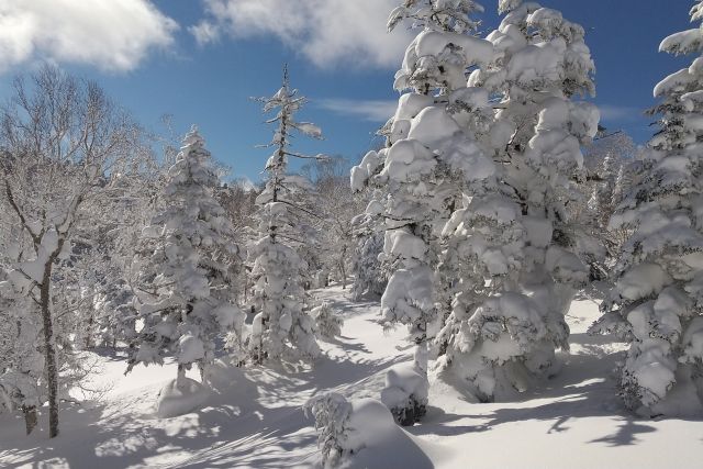 Snow monster (juhyo) next to the ski slope at Shiga Kogen Terakoya Ski Resort in Nagano