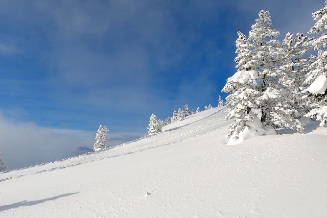 สกีรีสอร์ท Shibutoge ในเมือง Shiga Kogen จังหวัด Nagano