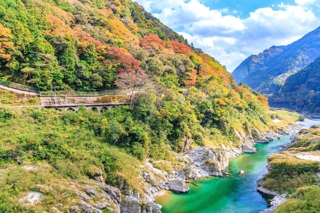 大歩危峡　吉野川　紅葉