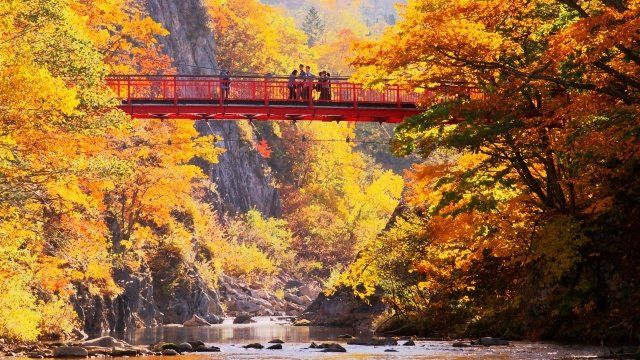 Shikotsu-Toya National Park Futami-Jozan Road Futami Suspension Bridge