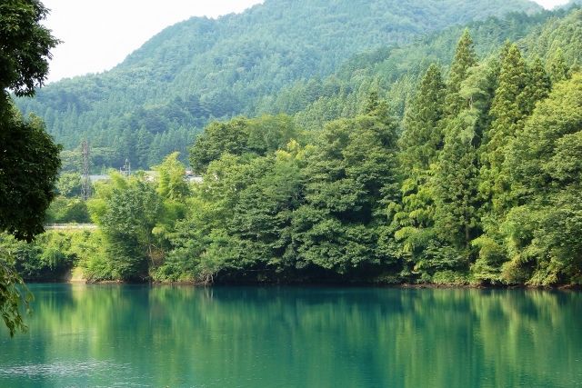 夏季的志摩湖（群馬縣）