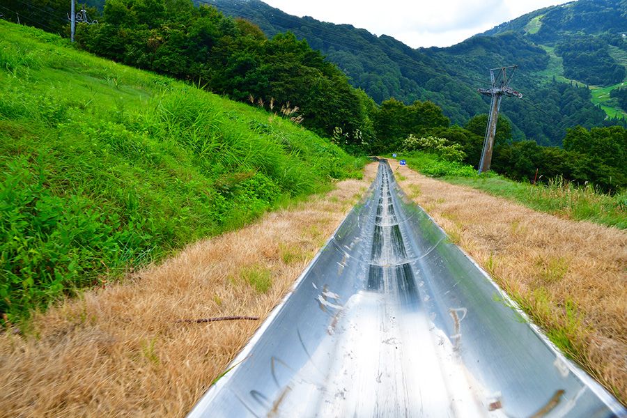 スキー場の春・夏・秋　2024　グリーンシーズンにおすすめのアクティビティ　新潟　湯沢高原スキー場　湯沢高原パノラマパーク　サマーボブスレー706　全長706m