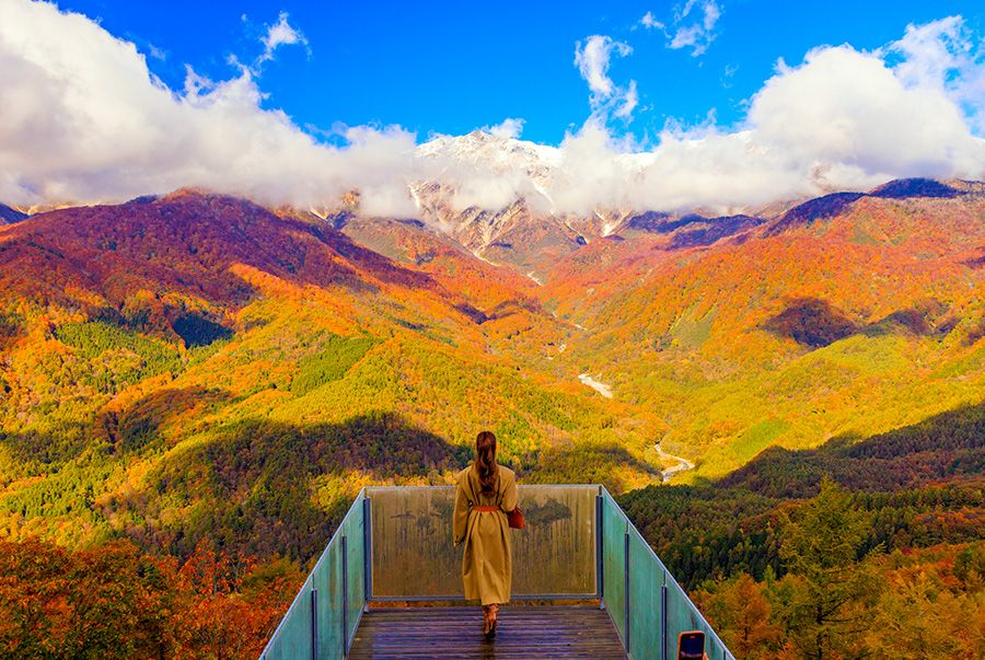 Ski Resorts Spring, Summer, and Autumn 2024 Recommended Activities for the Green Season Nagano Hakuba Iwatake Mountain Resort HAKUBA MOUNTAIN HARBOR Summit Terrace Autumn Leaves Spectacular Views Spread Out in Front of You Northern Alps