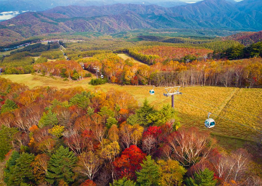 滑雪场 2024年春天/夏天/秋天 绿色季节推荐活动 栃木 那须盐原 猎人山 盐原 猎人山露营公园 季节风景 红叶 缆车