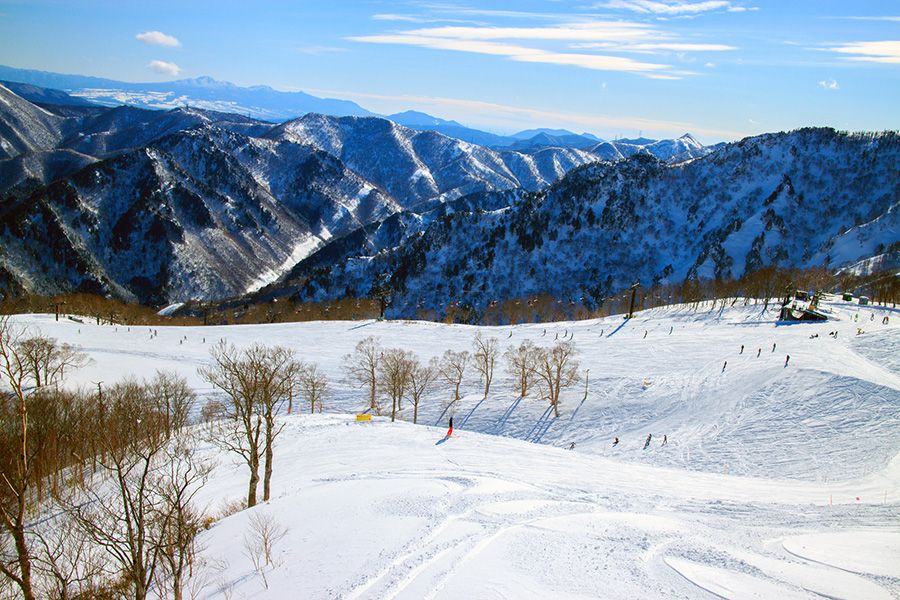 Koshinetsu Niigata Nagano Ski Resort Kids Park where you can sled and play in the snow