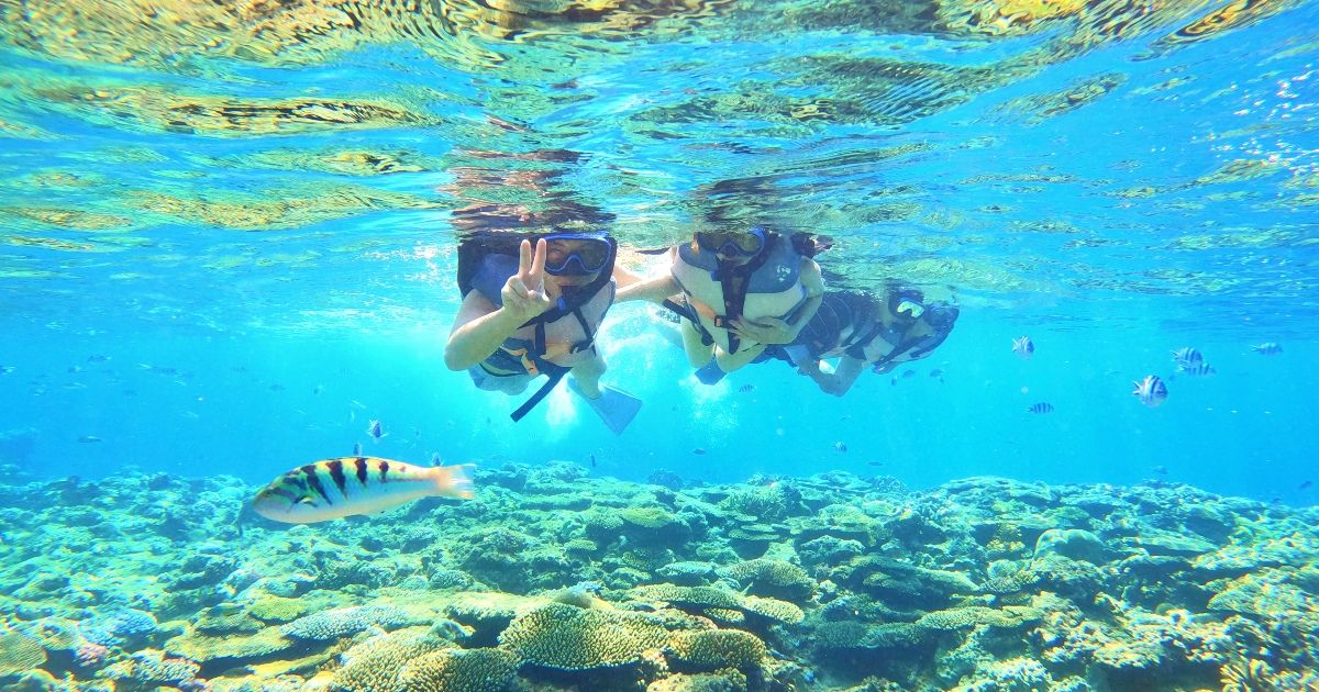 snorkeling体験おすすめエリア＆ツアーまとめof画像