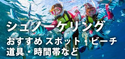 シュノーケリング 国内おすすめスポット・ビーチ・ショップ｜必要な道具・時間帯など