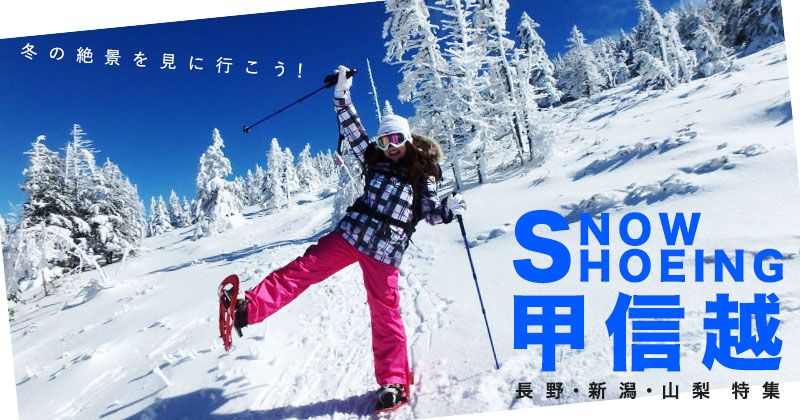 Koushinetsu snowshoe experience│Rental possible! A thorough introduction to the popular snow hike guided tour! Image of