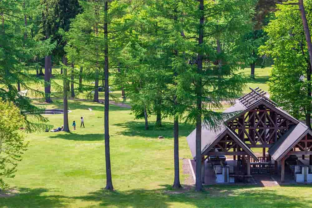 ソロキャンプ 初心者 完全ガイド おすすめの場所 道具 現地アクティビティ体験を紹介 アクティビティジャパン