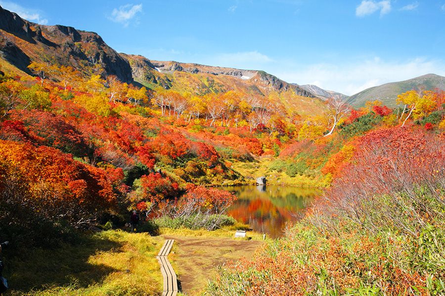 홋카이도 소운쿄 다이세츠 고원 온천 늪 순례 등산 코스 다이세츠 고원 온천 습원 늪 연못 약 4시간의 코스 단풍의 명소 하이킹 트레킹 다이세츠 국립 공원 식부 늪