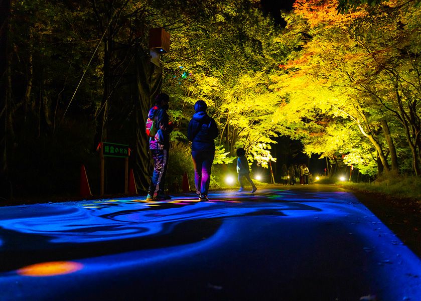 北海道　层云峡　奇迹般的照明　大雪山国立公园所以第一个秋天的樹葉ライトアップイベント　9月16日至10月15日握住　明亮的上色秋天的樹葉のライトアップ　数字艺术计划