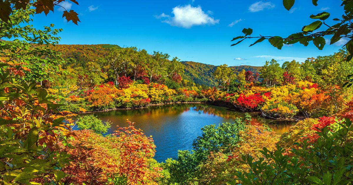 [2024] When will the autumn leaves bloom in Sounkyo? The best time to see them and 5 great spots