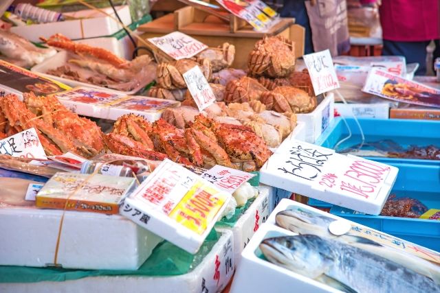 Hokkaido Southern Hokkaido Recommended Tourist Spots Hakodate Morning Market Seafood