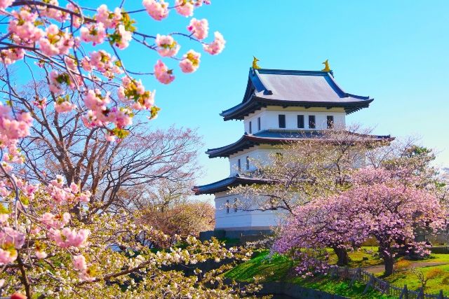 Hokkaido Southern Hokkaido Recommended Tourist Spots Hakodate Matsumae Castle and Matsumae Park in Spring