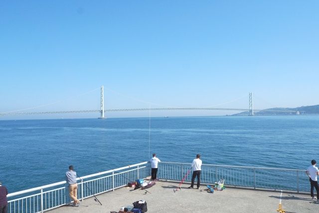 Image of squid fishing in Kansai