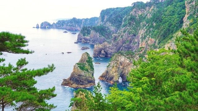 Image of squid fishing in Tohoku