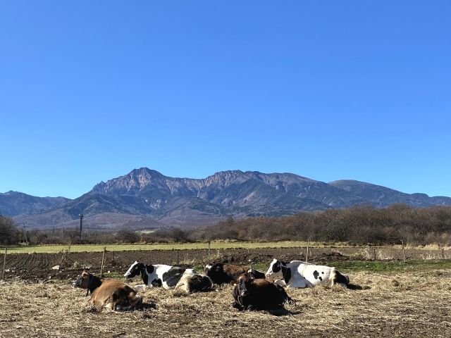 長野県、滝沢牧場