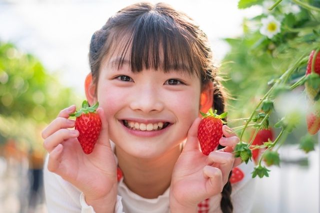 딸기 사냥 체험은 최적의 복장으로 즐기자!