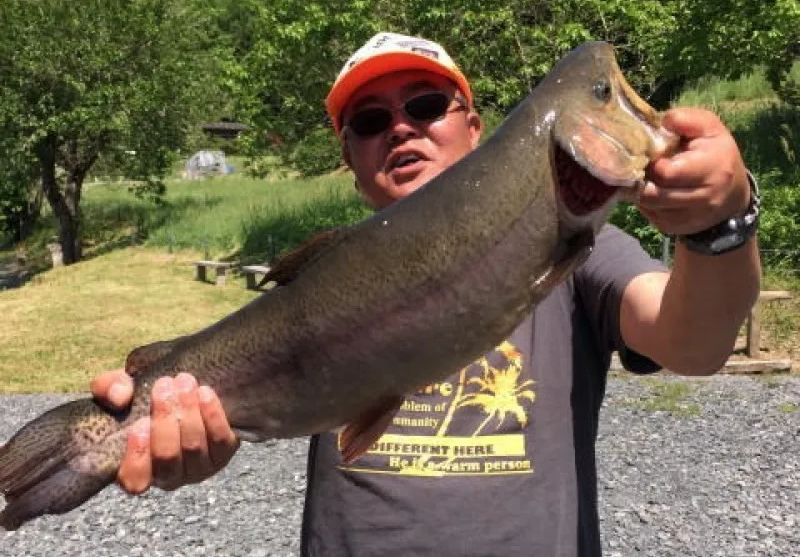 Mountain stream fishing cherry salmon