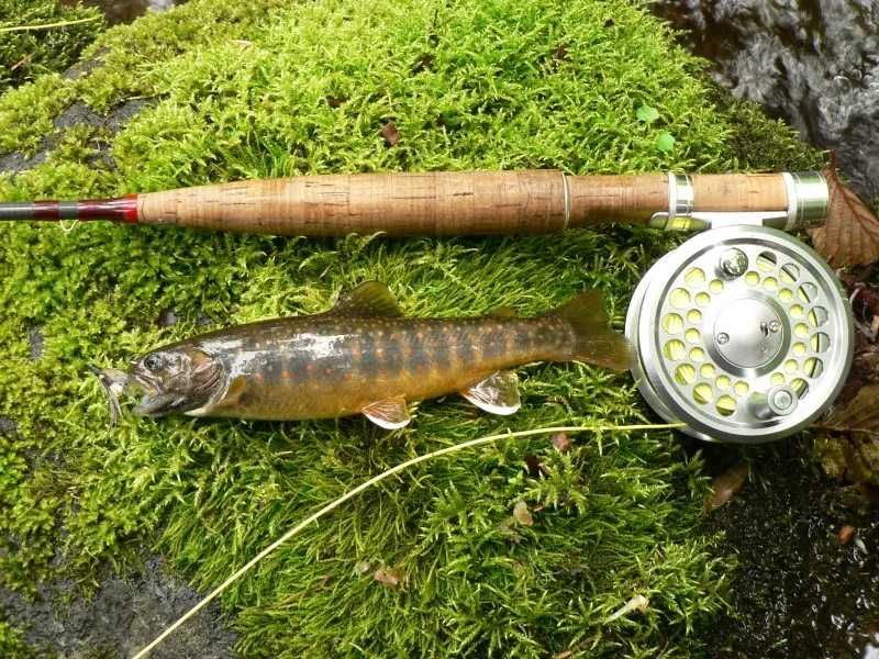 Mountain stream fishing Char Hokkaido TOM Tokachi Outdoor Mates