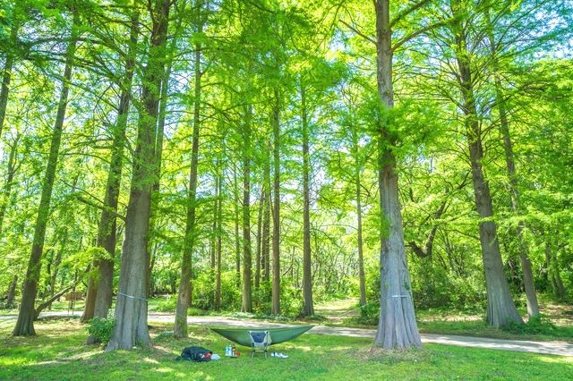 夏キャンプの暑さ対策1：涼しいエリアを選ぶ