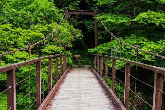 東京の奥多摩町　多摩川の鳩ノ巣渓谷に架かる鳩ノ巣小橋
