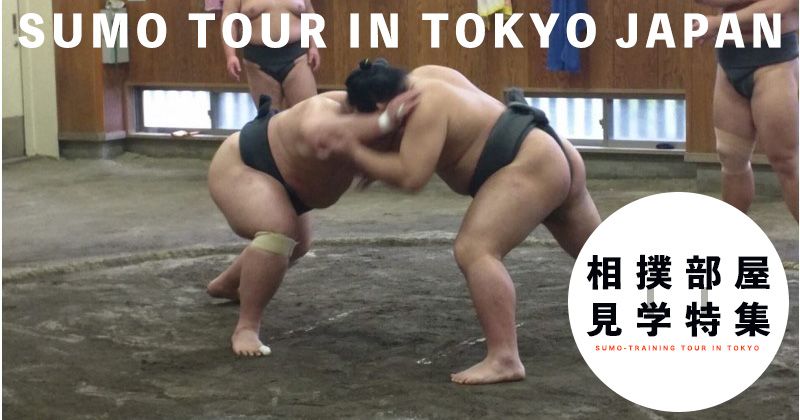 [Tokyo Sumo Room Tour] Japanese national sport! Experience the charm of "SUMO", which is drawing attention from all over the world!