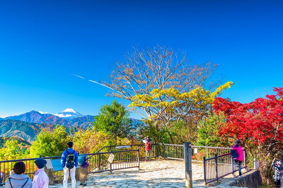 高尾山　紅葉　絶景スポット　高尾山山頂　富士山　色づく山頂一帯