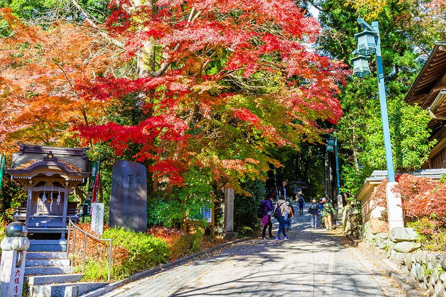 Mt. Takao Autumn leaves Spectacular view spot Mt. Takao climbing course Recommended Route 1 Mt. Takao Yakuoin Omotesando near the entrance Autumn foliage tunnel Recommended course for beginners