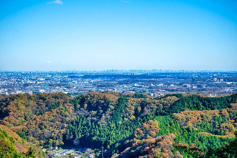 高尾山初學者指南！對登山路線、推薦路線、時間、服裝等進行深入研究！