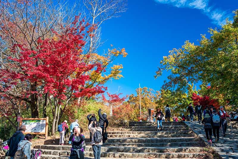 Beginner's guide to Mt. Takao! Thorough investigation of climbing routes, recommended courses, times, clothing, etc.!