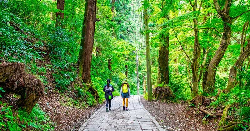 Beginner's guide to Mt. Takao! Thorough investigation of climbing routes, recommended courses, times, clothing, etc.!