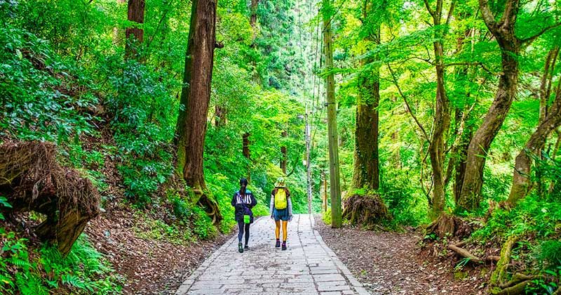 高尾山初心者ガイド！登山ルート・おすすめコース・時間・服装などを徹底調査！