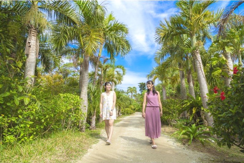 平田観光(HIRATA　KANKO)の西表島・由布島・竹富島3島巡りツアーを楽しむ女性