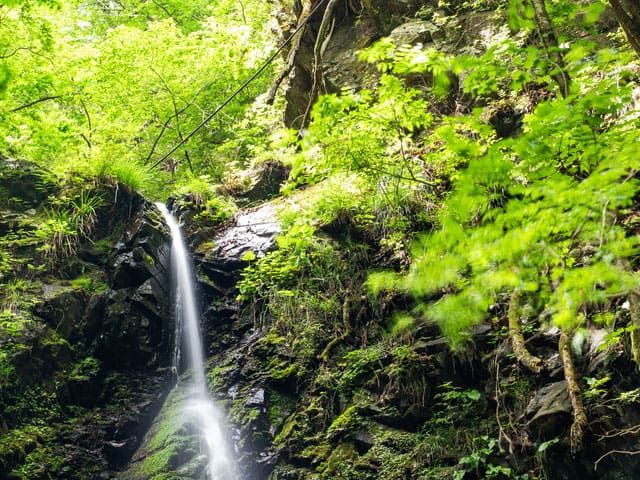 滝行ができるおすすめスポット：東京・檜原村／龍神の滝