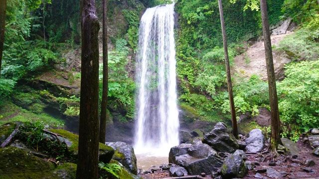 Recommended spots where you can go to waterfall: Minamiashigara, Kanagawa / Yuhi no Taki