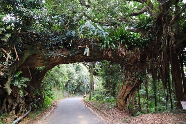 Tanegashima's Power Spot Arch of Akou