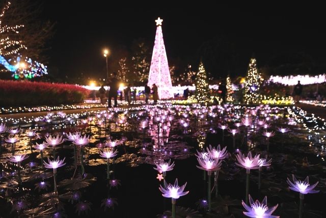 Illuminations at Ashikaga Flower Park