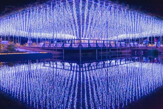 Ashikaga Flower Park illumination “Flower Garden of Light”