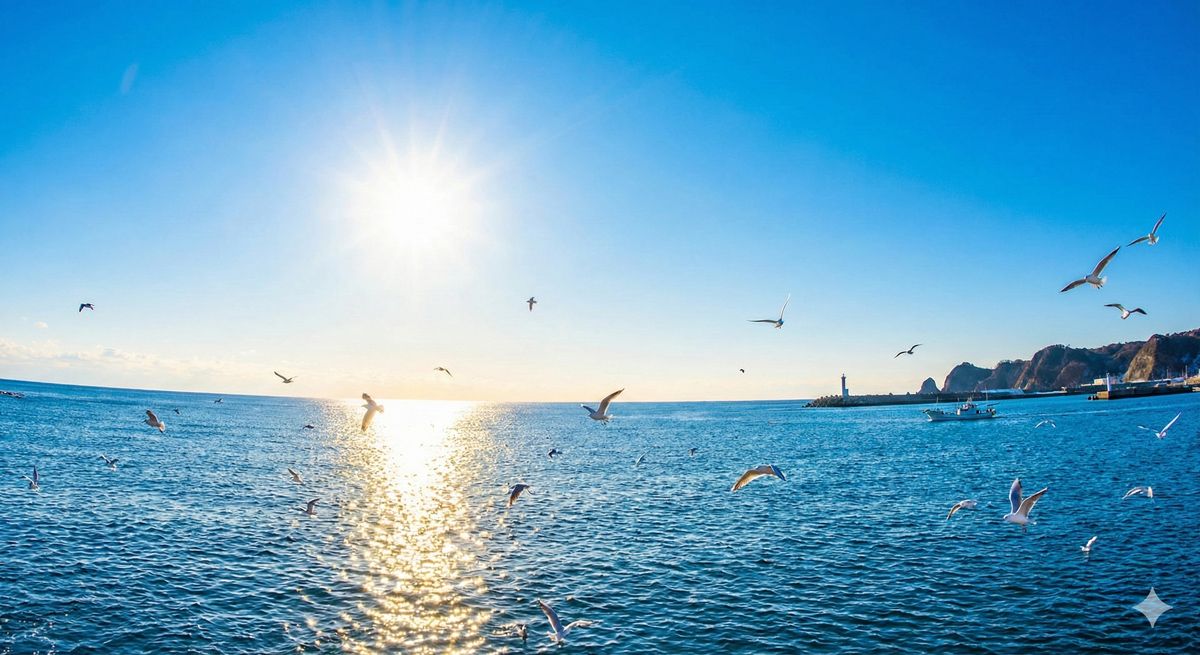冬の青空の下、キラキラと輝く海と白いカモメが飛び交う開放的な景色。新しい一日の始まりを感じさせる一枚。