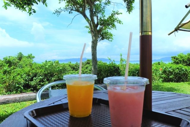 沖縄　渡嘉敷島　カフェ　スムージー　イメージ