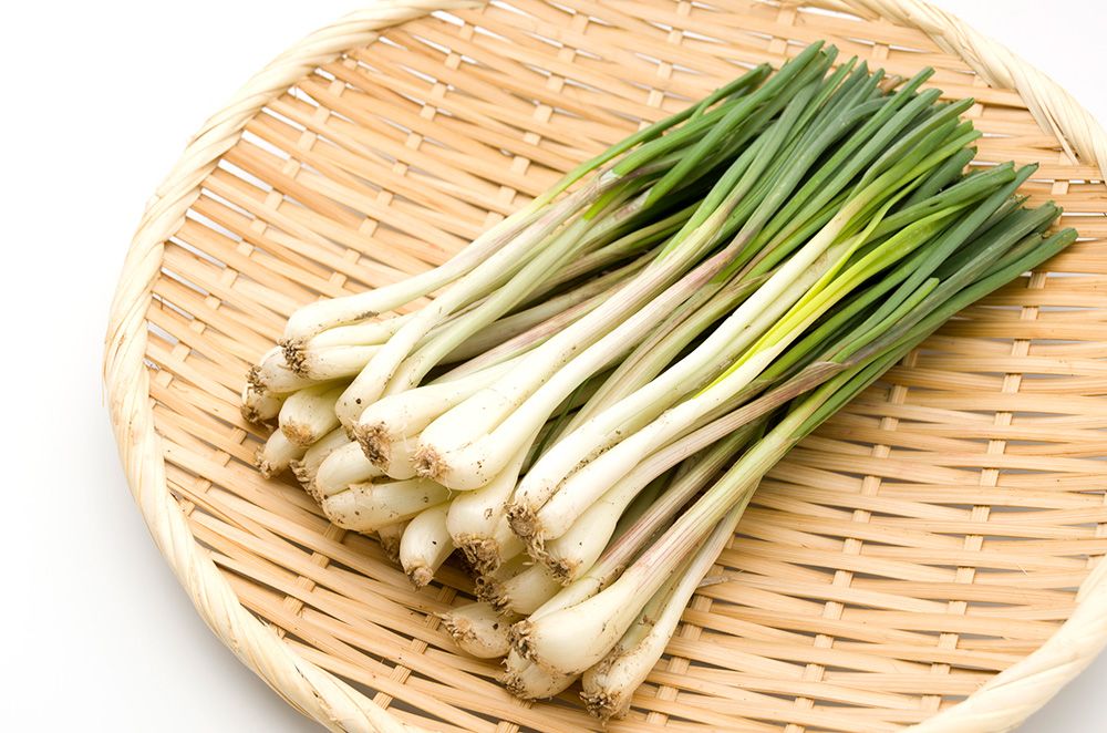 渡嘉敷島名産のお土産3選｜食品系・マグロ加工品　島らっきょう　イメージ