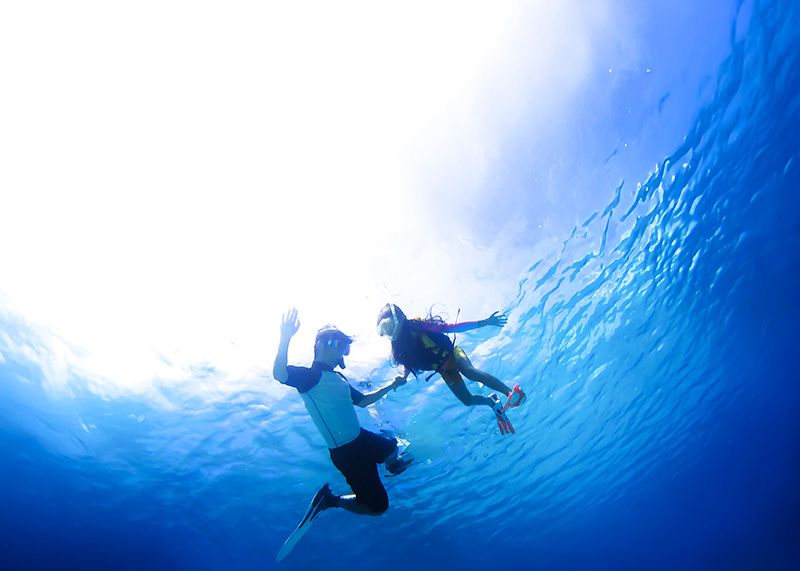 渡嘉敷島内移動手段はレンタカーが必要？車なしで楽しむ方法と観光モデルコース