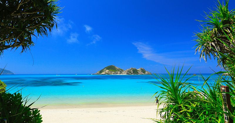 渡嘉敷島内移動手段はレンタカーが必要？車なしで楽しむ方法と観光モデルコース