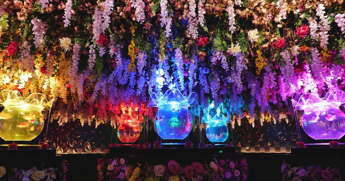 【東京】大人が1日遊べる場所10選！モデルコース・雨の日OK・夜景・温泉まで