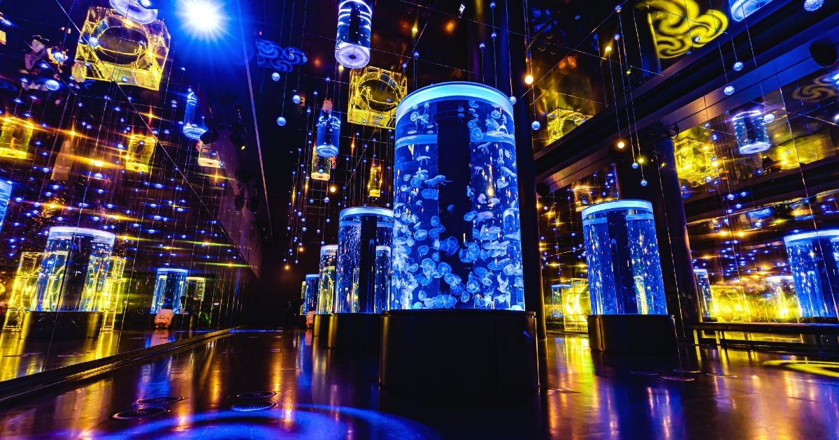 Recommended sightseeing spots for couples in Tokyo! Introducing model itineraries for each season