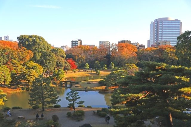 Tokyo Rikugien garden and autumn leaves