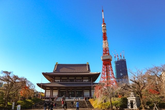秋の東京タワーと増上寺