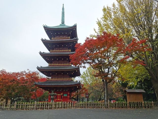 Old Kaneiji five-storied pagoda and autumn leaves in Ueno Park