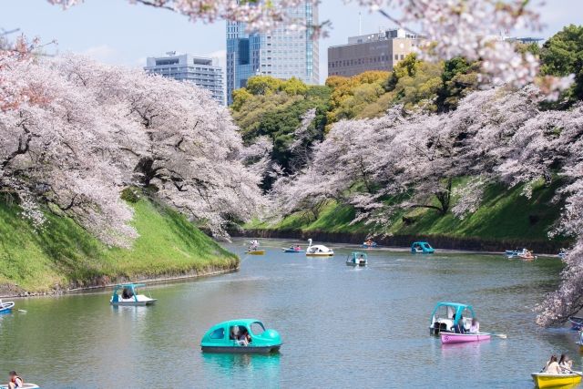 Chidorigafuchi, Tokyo in spring